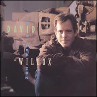 Big Horizon von David Wilcox