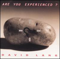 David Lang: Are You Experienced? von David Lang