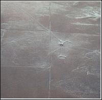 Eight Landscapes von Günter Müller