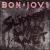 Slippery When Wet von Bon Jovi