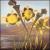 English Commonflowers von Martin Archer