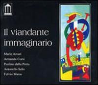 Viandante Immaginario von Mario Arcari