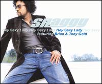 Hey Sexy Lady von Shaggy