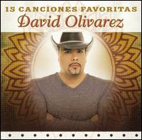 15 Canciones Favoritas von David Olivarez