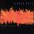 Walk Through Fire von Spanic Boys