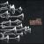 Trumpet Evolution von Arturo Sandoval