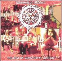 Terminally Groovy: The Singles von Ned's Atomic Dustbin