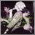 Fanfare in the Garden von Essential Logic