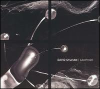 Camphor von David Sylvian