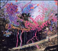 Here Comes the Indian von Animal Collective