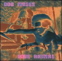 Love Animal von Bob Moses
