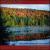 Reflections von Gordon Beck