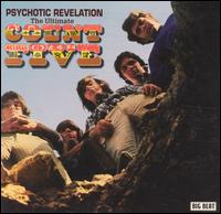 Psychotic Revelation: The Ultimate Count Five von The Count Five