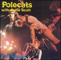 Cult Heroes von The Polecats
