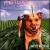 Antenna von Petland