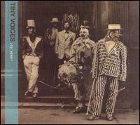 Tiny Voices von Joe Henry