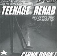 Plunk Rock von Teenage Rehab