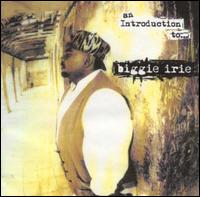 Introduction To... von Biggie Irie