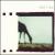 Lila [EP] von HiM