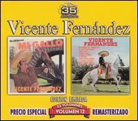Hoy Platique Con Mi Gallo/Mi Amigo el Tordillo, Vol. 22 von Vicente Fernández