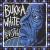 Revisited von Bukka White