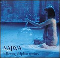 Following Dolphins Remixes von Najwa