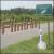 Heartbreak Highway von Flint Hill