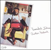 Another Postcard/Next Time von Barenaked Ladies