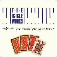 Who Do You Want for Your Love? von Icicle Works