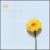 Chill with Vivaldi von Various Artists