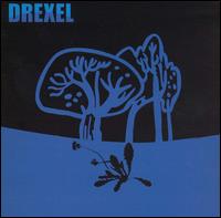 What Went Wrong von Drexel