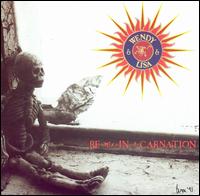 Re-mix-in-a-carnation von Wendy & Lisa