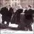 Carry It On [Bonus DVD] von Peter, Paul and Mary