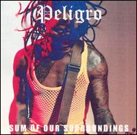 Sum of Our Surroundings von D.H. Peligro