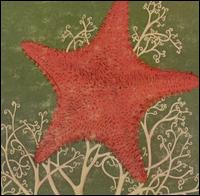 Arm of the Starfish von The Blithe Sons