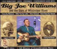 Big Joe Williams and the Stars of Mississippi Blues von Big Joe Williams