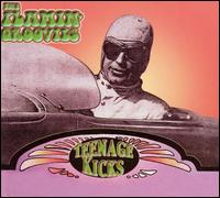 Teenage Kicks von The Flamin' Groovies