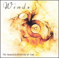 Imaginary Direction of Time von Winds