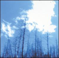 If Not for the Hovering... von Joss