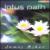 Lotus Path von James Asher