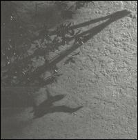 Blue Notebooks von Max Richter