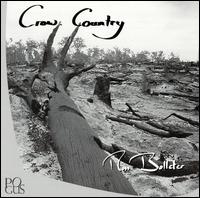 Crow Country von Ross Bolleter