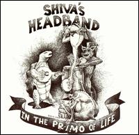 In the Primo of Life von Shiva's Headband