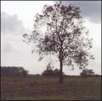 Purlieu von Second Thought