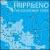 Fripp & Eno: The Equatorial Stars von Robert Fripp