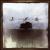 Wilting von Thousand Falling Skies