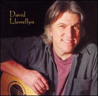 David Llewellyn von David Llewellyn