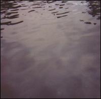 We Move Through Weather von Tarentel