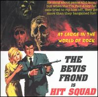Hit Squad von The Bevis Frond