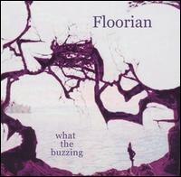 What the Buzzing von Floorian
